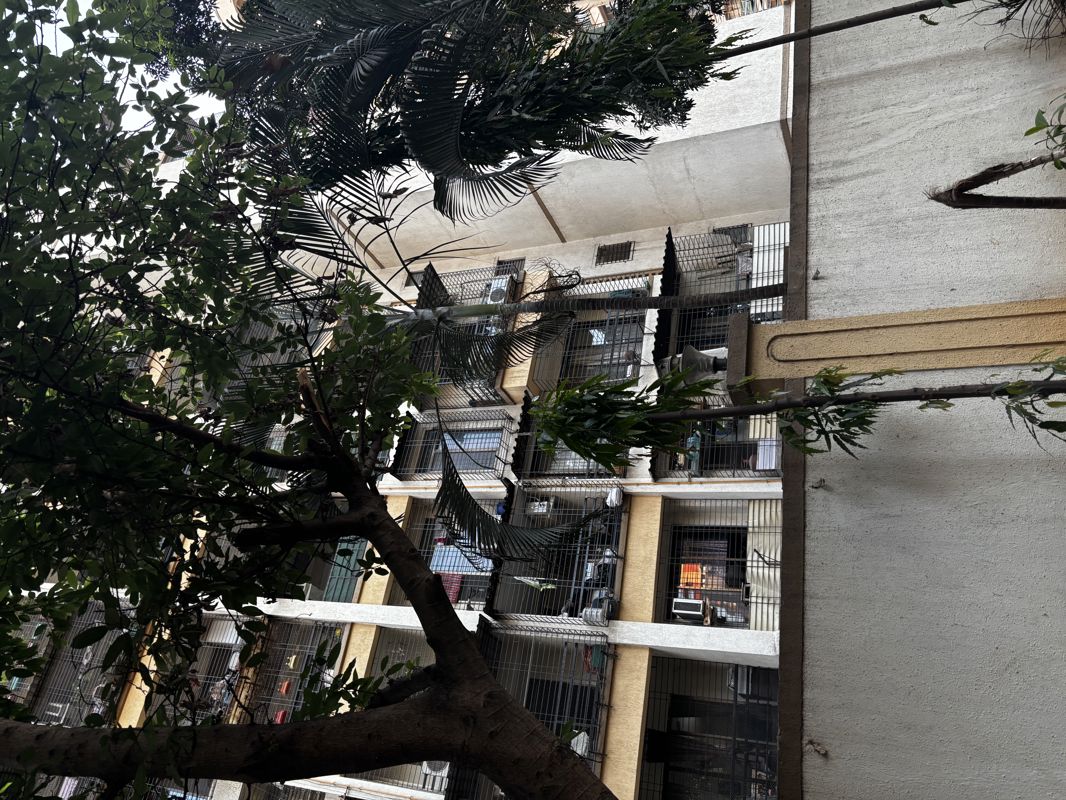 1 BHK + Store Room Apartment For Rent in Shiv Krupa