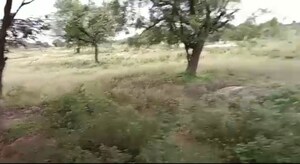   Plot at Velmala – for Sale