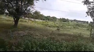 Plot Area in  Plot at Velmala – for Sale