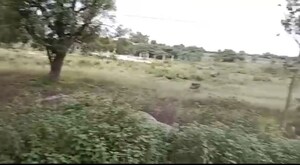 Plot Area in  Plot at Velmala – for Sale