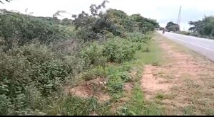 Plot Area in  Plot at Velmala – for Sale
