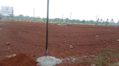Plot For Sale in Anish Calieda