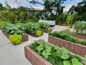  Land – Exterior View View at Santacruz East - for Sale