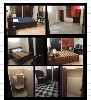 4 BHK Builder Floor For Rent in Saket