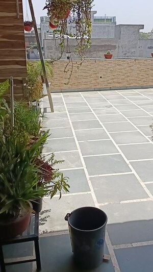 Balcony in 1.5 BHK Builder Floor at Rohini Sector 11 – for Rent