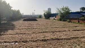  Land For Rent in Kadarpur