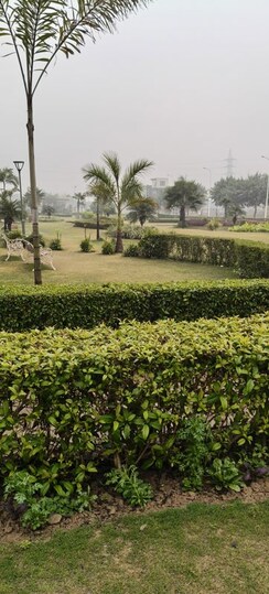3 BHK Builder Floor For Rent in BPTP Parkland Pride Phase 2