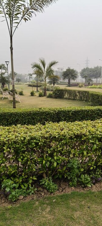 3 BHK 1100 Sq.Ft. Builder Floor in BPTP Parkland Pride Phase 2