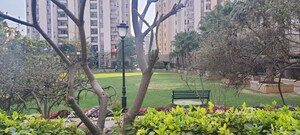3 BHK Apartment – Exterior View View at Orchid Petals, Sector 49 - for Rent