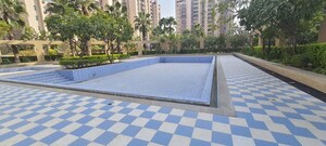 Swimming Pool in 3 BHK Apartment at Orchid Petals, Sector 49 – for Rent
