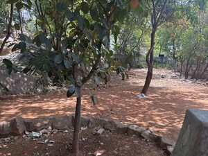  Plot For Rent in Jubilee Hills