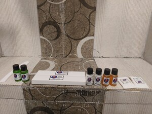 Bathroom in 1 RK Apartment at Wegmans Business Park, Knowledge Park 3 Greater Noida – for Rent