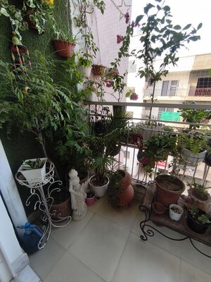 3 BHK Apartment – Exterior View View at NK Sharma Savitry Greens 2, Ghazipur - for Sale