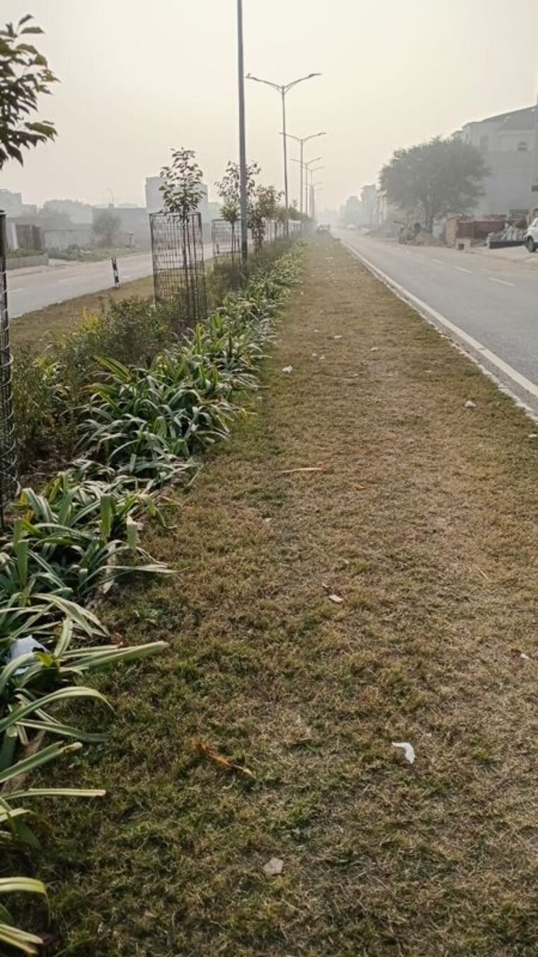 undefined, phase 10  500 Sq.Yd. Plot In Phase 10 Mohali 10409412