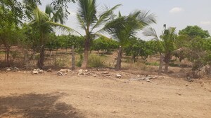  Plot For Sale in Bibinagar