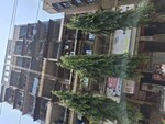 1 BHK 660 Sq.Ft. Apartment in Mahape