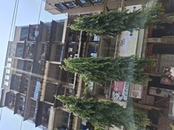 1 BHK Apartment For Rent in Mahape