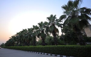 Studio Apartment – Garden View at Chaitanya Vihar - for Sale