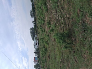  Plot – Garden View at Sohna Sector 5 - for Sale