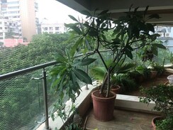 3 BHK Apartment For Rent in H&M Tower