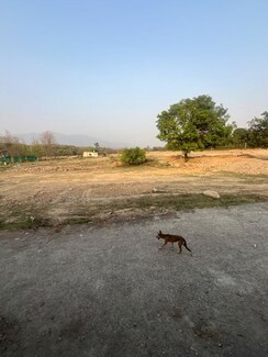 Plot For Sale in Laxman Chowk