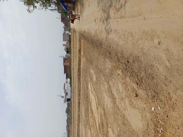 undefined, karnera village  51 Sq.Yd. Plot In Karnera Village Faridabad 10410504