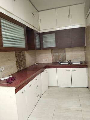 Kitchen in 2 BHK Builder Floor at Malviya Nagar – for Rent