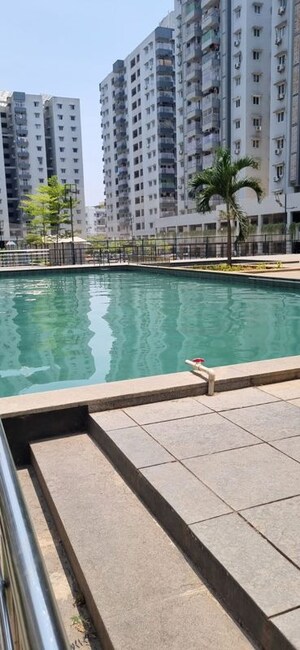 Swimming Pool in 2 BHK Apartment at Jains Carlton Creek, Manikonda – for Rent