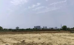 Plot For Sale in Sector 143