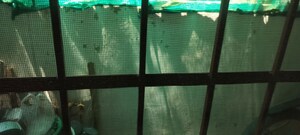 Swimming Pool in 2.5 BHK Independent House at Awadhpuri – for Sale