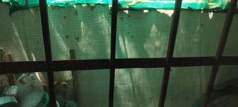 Swimming Pool, awadhpuri 2.5 Bedroom 600 Sq.Ft. Independent House In Awadhpuri Bhopal 10411080