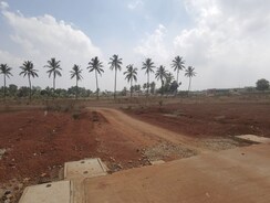 Plot For Sale in High Grounds