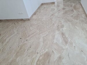 3 BHK Builder Floor For Sale in Sector 40