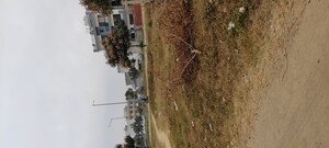   Plot at GMADA Eco City, North Mullanpur – for Sale