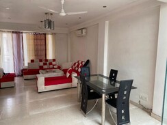 3 BHK + Servant Room Builder Floor For Rent in Greater Kailash I