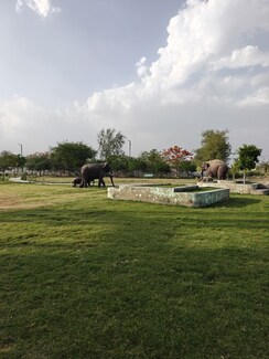 Plot For Sale in Chaksu