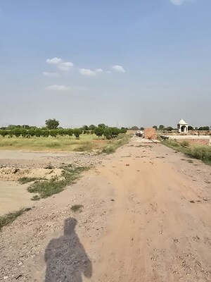 Plot Area in  Plot at Jait – for Sale