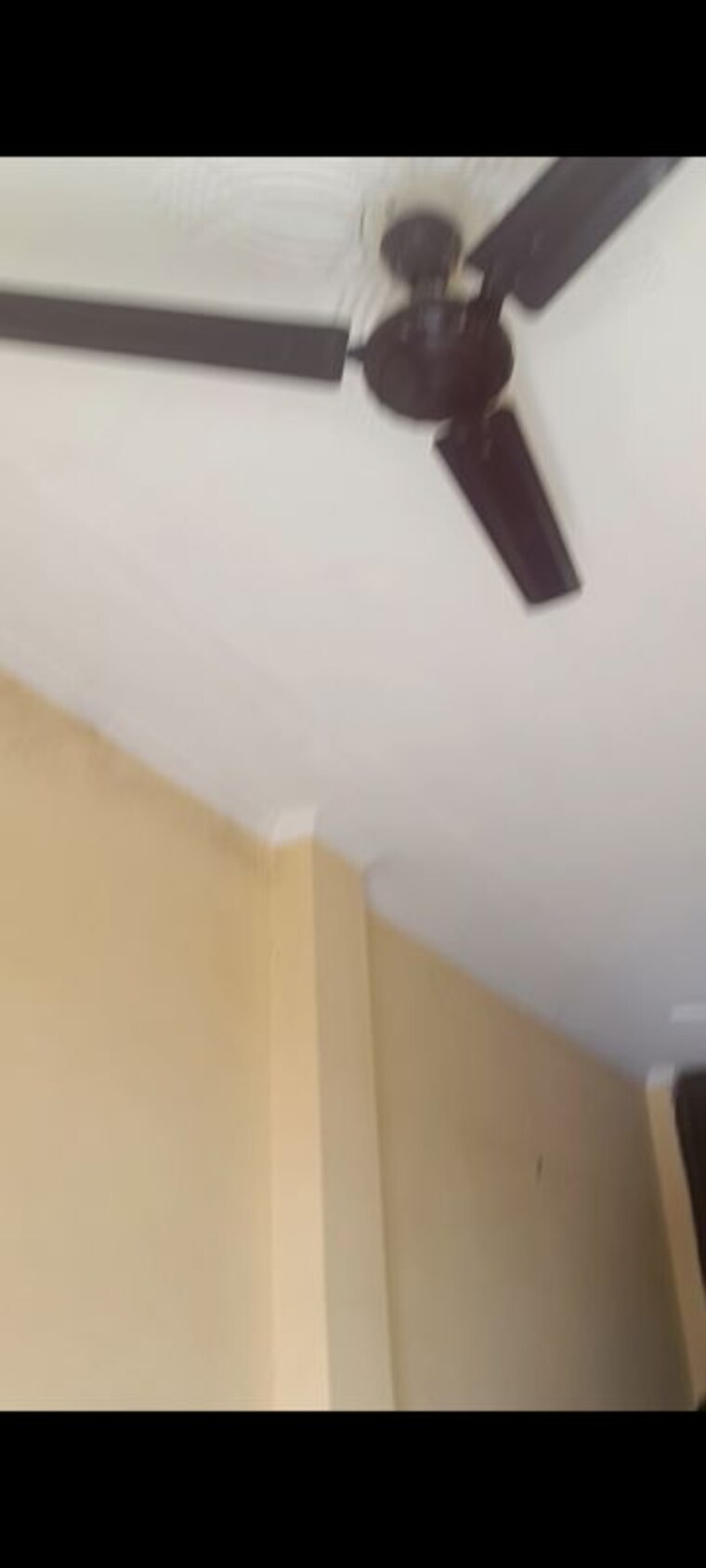 Room, new-palam-vihar-3 1 Bedroom 1000 Sq.Ft. Independent House In Sector 111 Gurgaon 10411956