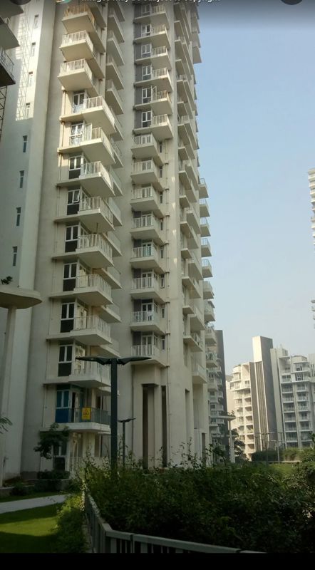 3.5 BHK + Servant Room Apartment For Sale in Ireo Victory Valley
