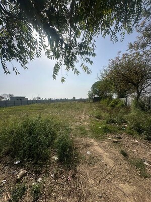 Plot Area in  Plot at Sector 78 – for Sale