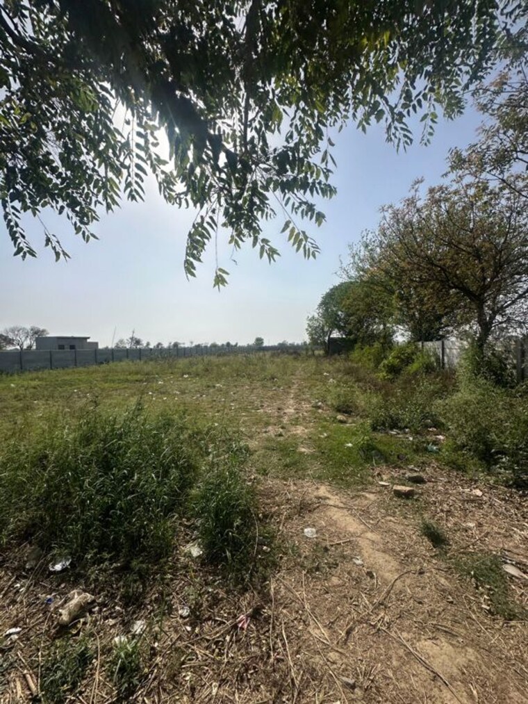 undefined, sector 78  900 Sq.Ft. Plot In Sector 78 Faridabad 10412042