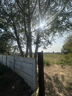 Plot For Sale in Sector 78