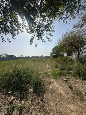 Plot Area in  Plot at Sector 78 – for Sale