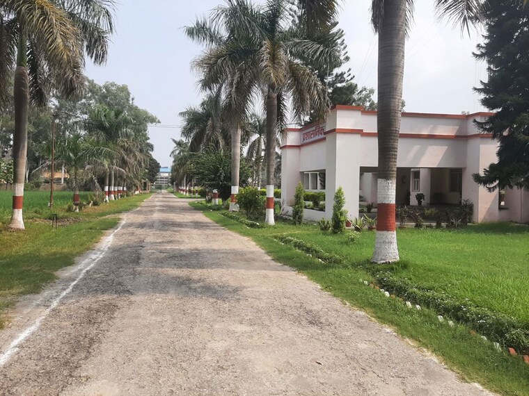 Exterior View, sector 76  2376 Sq.Ft. Plot In Sector 76 Faridabad 10412119
