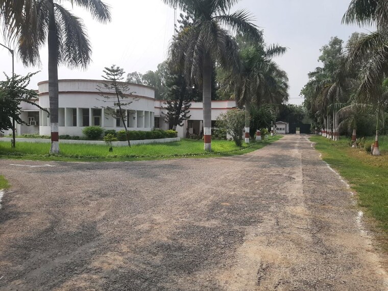 undefined, sector 76  2376 Sq.Ft. Plot In Sector 76 Faridabad 10412119