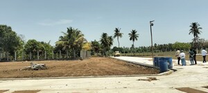 Plot Area in  Plot at Ariyamangalam Area – for Sale