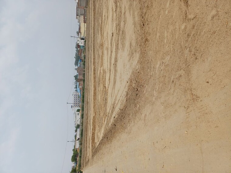 undefined, karnera village  55 Sq.Yd. Plot In Karnera Village Faridabad 10412352