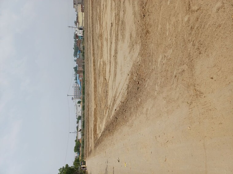 undefined, karnera village  56 Sq.Yd. Plot In Karnera Village Faridabad 10412359