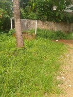 5009 Sq.Ft. Plot in Cheroor
