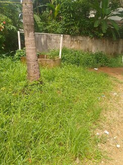 Plot For Sale in Cheroor